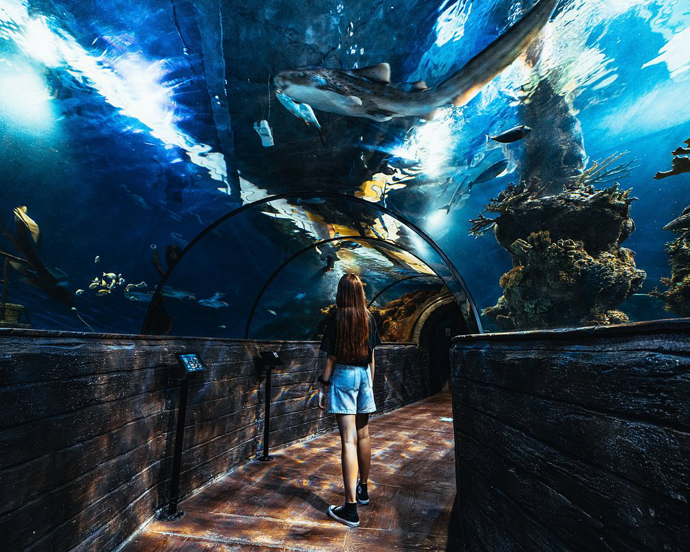 Malta National Aquarium - Things to do in Malta